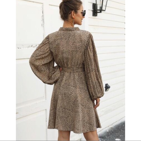 Leopard Print Front Belted Dress - Picture 4 of 5